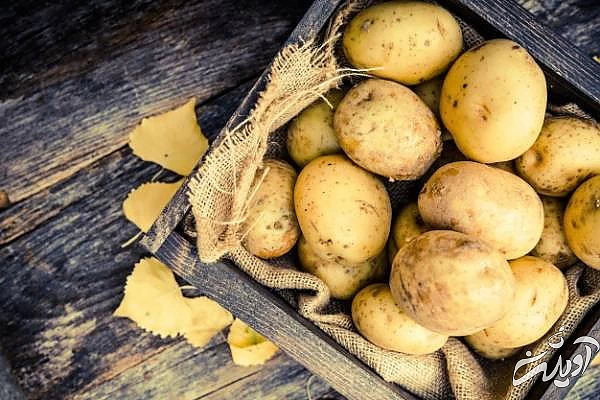 مشکی شدن موهای سفید با سیب زمینی سیب زمینی